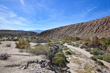 Fault Zone at Thousand Palms in the California desert