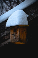 Vogelhaus mit Schnee