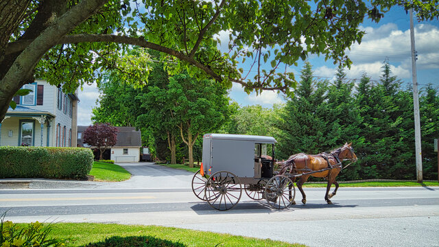 Amish Horse and Buggy Traveling along a Countryside