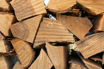 the woodpile of birch fire wood
