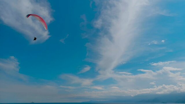 sky jumping sky parachute paragliding flying sport fly blue paraglider freedom clouds extreme air bird adventure flight skydiving cloud gliding parachuting activity high seagull fun sun wind