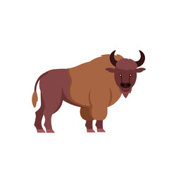 Cartoon buffalo on a white background. Flat cartoon illustration for kids.