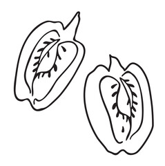 Peppers Outlines Vector Illustration