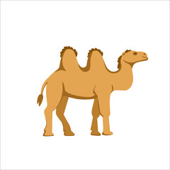 Cartoon camel on a white background.Flat cartoon illustration for kids.
