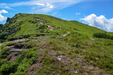 Fototapeta na wymiar Beautiful scenery of Chornohora ridge with green slopes and valley on sunny summer day. Carpathian mountains, Ukraine