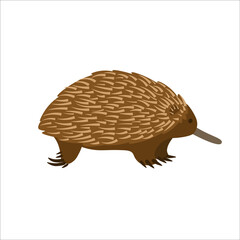 Cartoon echidna on a white background.Flat cartoon illustration for kids.