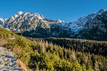 Fototapeta na wymiar Tourist path in High Tatras, Slovakia, winter scene