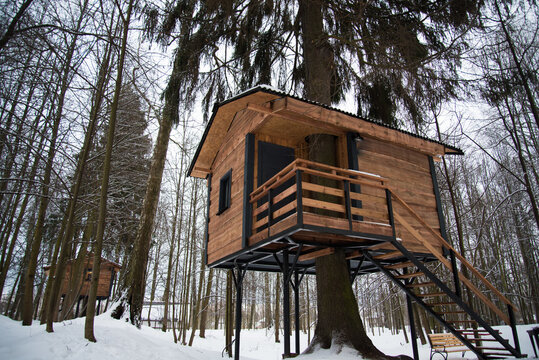 Cozy tree house. Among the trees in the winter forest house made of wood.