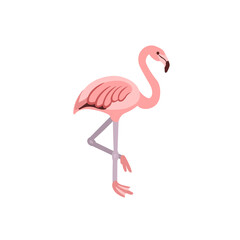 Cartoon flamingo on a white background.Flat cartoon illustration for kids.