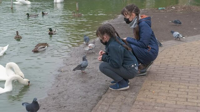 Enjoy nature in quarantine. Two little happy children in medical mask feed birds in the pond in the autumn park.