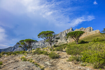 At top of Table Mountain. Table Mountain is the most iconic landmark of South Africa, overlooking the city of Cape Town. Cape Town South Africa.