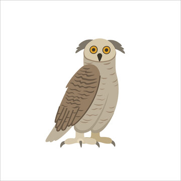 Cartoon long-eared owl on a white background.Flat cartoon illustration for kids.