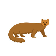 Cartoon mongoose on a white background.Flat cartoon illustration for kids.
