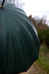 Dark green umbrella in rainy autumn or winter day with detail of the drops