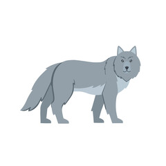 Cartoon wolf on a white background.Flat cartoon illustration for kids.
