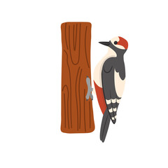 Cartoon woodpecker on a white background.Flat cartoon illustration for kids.