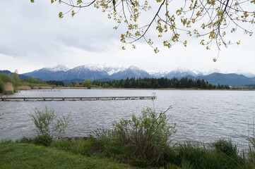 Frühjahr am Hopfensee