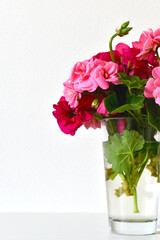 Geranium flowers in a glass vase on a white background, romantic view, detailed composition