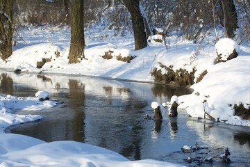 Winter landscape. Winding river in a winter park. Trees are growing covered with snow.