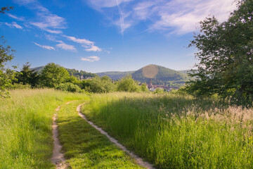 Meadow landscape with small town in south Germany