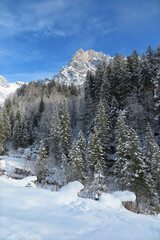 Fototapeta na wymiar Winter in Salzburg