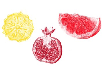 Slices of pomegranate, grapefruit, pineapple on a white background in bright colors