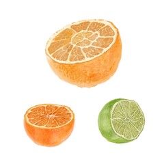Halves of citrus fruits (orange, tangerine, lime.) In foreshortening, on a white background