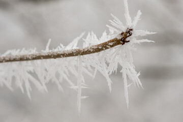 Nebelgebilde, Eiskristalle, stachelige Eisfiguren