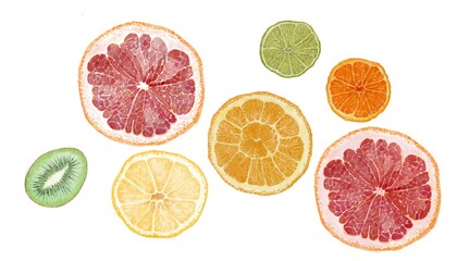 Round slices of citrus fruits (orange, grapefruit, tangerine, lemon, lime, kiwi.) On a white background