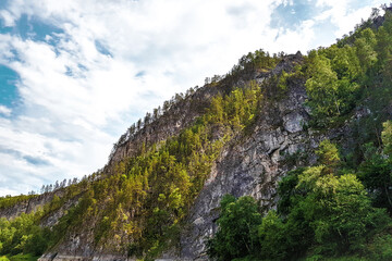 Scenery landscape with green forest and high rocky mountain under blue sky. sunny day