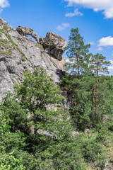 Fototapeta na wymiar Scenery landscape with green forest and high rocky mountain under blue sky? falling stone from a cliff