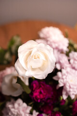 Top view, beautiful gorgeous white rose blooming around blurred colorful blossom bouquet flowers. Natural symbol of love, romance, happiness and beauty. A moment of Valentine's Day. Depth of field