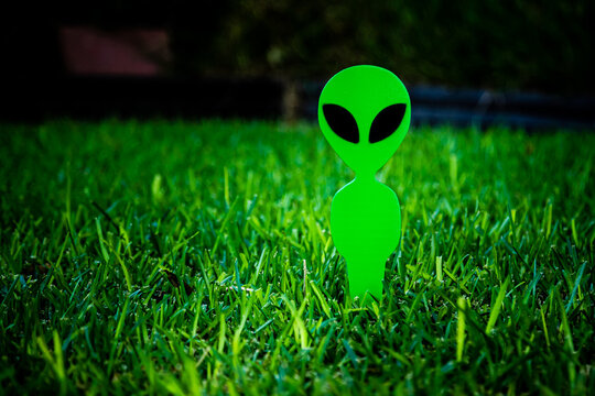 Decorative Green Lawn Aliens Gnome Extraterrestrial Arriving in Darkness Yard Green Grass