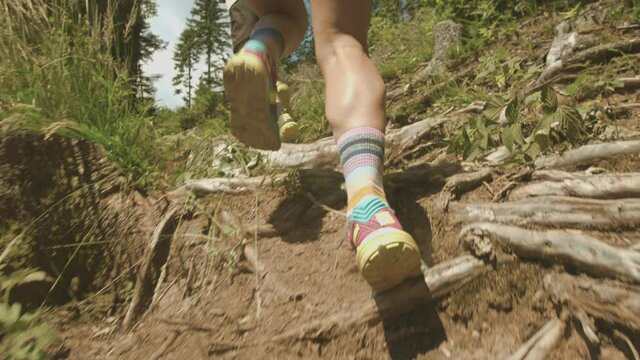 Slow motion video of young fit woman and man legs running uphill in the forest, dressed in sport wear and sport shoes. Close up shot. 