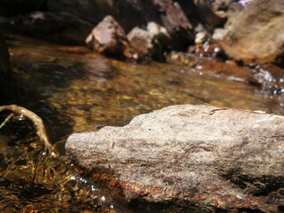 Arroyo