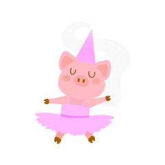 ballerina pig on the white background