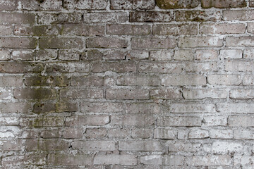 Brick wallpaper, texture. Background for creative design. White wall is covered with mold.
