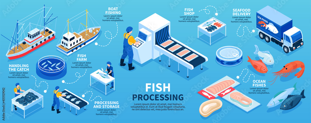 Poster fish processing isometric infographics scheme