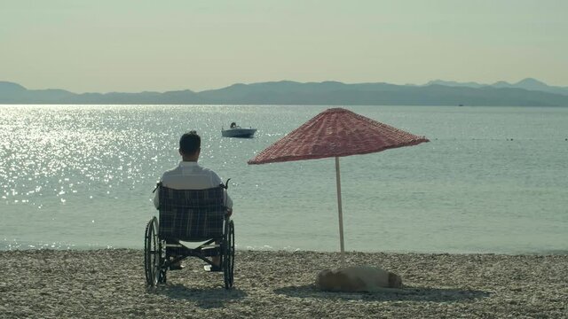 Young man in wheelchair watching the sea view while his dog is sleeping.Love of animals and nature.