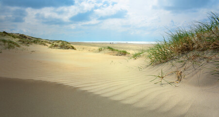 Dunes beach on the North Sea