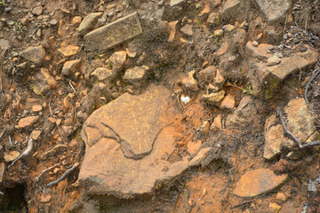 Close up of a stone ground brown background