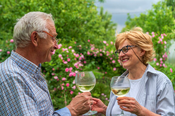 Senior man and lady holding, clinking glasses and drink  wine. Communication, friendly laughter, relationship.
