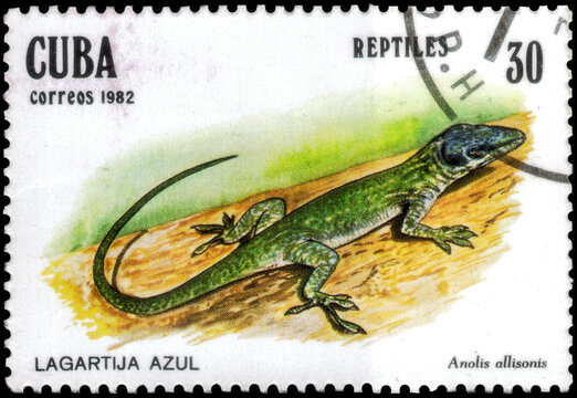 Postage stamp issued in the Cuba the image of the Allison's Anole lizard, Anolis allisoni. From the series on Reptiles, circa 1982