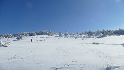 paesaggio innevato 