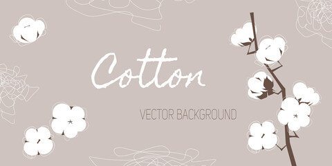 Vector neutral soft background with branch of cotton and abstract line elements. 