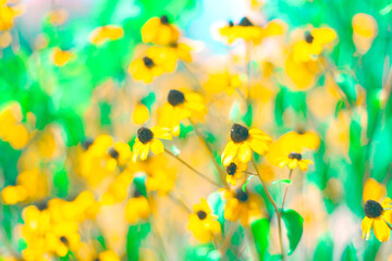 Flowers in green and yellow tones . Floral vibrant colors 