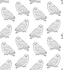 Vector seamless pattern of hand drawn doodle sketch white polar snowy owl isolated on white background