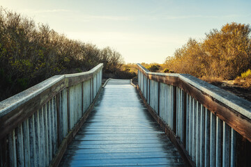 Wooden boardwalk. Hiking through natural habitats for viewing flora and fauna. Oceano, California