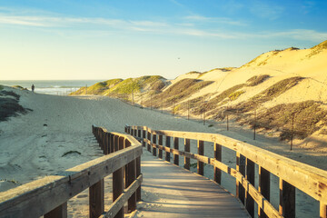 Beach access. Boardwalk through sand dunes and natural habitats. Oceano, California