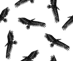 Vector seamless pattern of hand drawn doodle sketch black flying griffon vulture bird isolated on white background